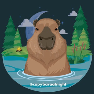 Логотип @capybaraatnight - Ночные капибары