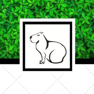 Логотип @capybaracentre - АнтиСтресс секреты Капибары