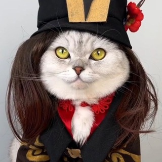 Логотип @capybaracosplay - Косплеи от капибары