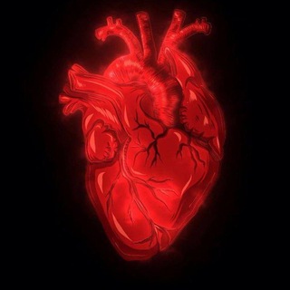 Логотип @car_0505 - P͟͞ r͟͞ o͟͞ d͟͞ a͟͞ z͟͞ h͟͞ a͟͞ ͟͞ v͟͞ i͟͞ n͟͞ i͟͞ l͟͞ o͟͞ v͟͞ ͟͞ z͟͞ а ₽ 35/60₽