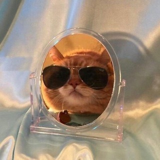 Логотип @carapkinmurrr - Эй, Царапкин!