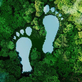 Логотип @carbon_fprint - Углеродный след