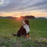 Логотип @cardergangdiscussion - cardergangdiscussion