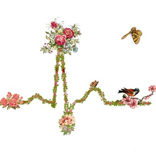 Логотип @cardiologlove - THE SYNAPSUS Cardiology ECG / Кардиология ЭКГ