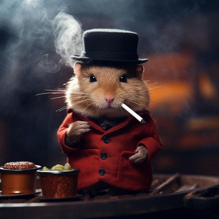 Логотип @cards_combo_kombat - Хамстер Комбат 🔹Комбо Карты