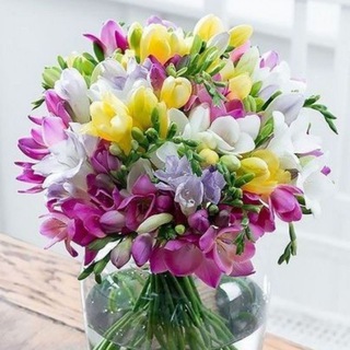 Логотип @cards_greetings - Открытки, поздравления 💐