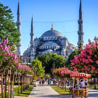 Логотип @cardturkeychannel - Card Turkey