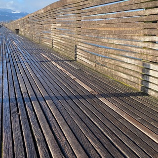 Логотип @care4truth - Care4Truth — Masken tragen; ein Risiko?