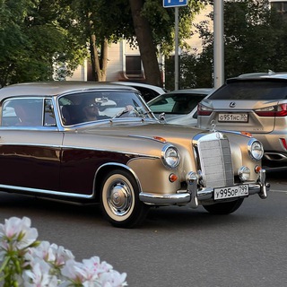 Логотип @carhub7 - carhub ©