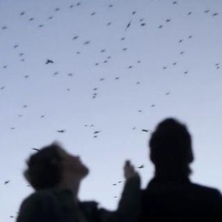 Логотип @carnivole - Старые записи