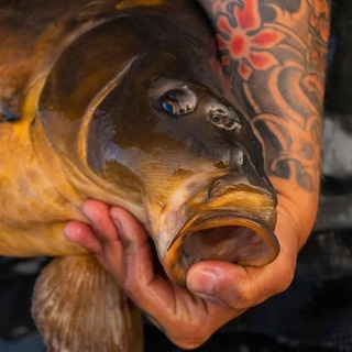 Логотип @carpfishingukraine - CarpfishingUA🇺🇦