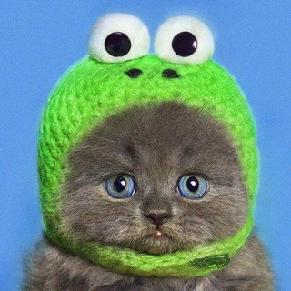 Логотип @carting_chats - https://t.me/carting_chats