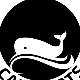 Логотип @cashalots_store - CASHALOTS