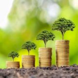 Cashout Investissement 💳