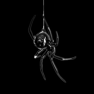 Логотип @cashymeme - Cashy's Gambles