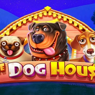 Логотип @casinomirror13 - Казино Бонус Зеркала