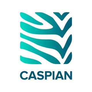 Логотип @caspian_tech - Caspian Tech