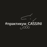 Логотип @cassini_chat - CASSINI Chat