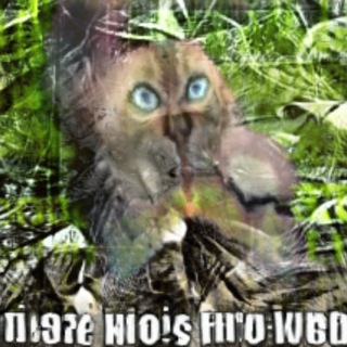 Логотип @casual_gan - Casual GAN Papers