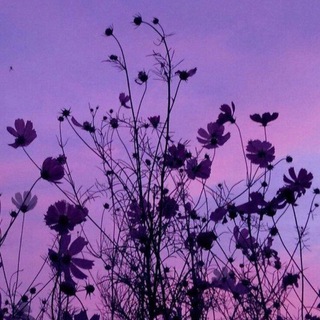 Логотип @cat4257 - 💗♡Уютный канальчик♡💗