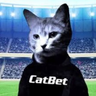 Логотип @cat_bet_team - CatBet - Ставки на спорт