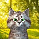 Логотип @cat_ekilibr - Экилибр. Все о медитации и ментальном развитии.