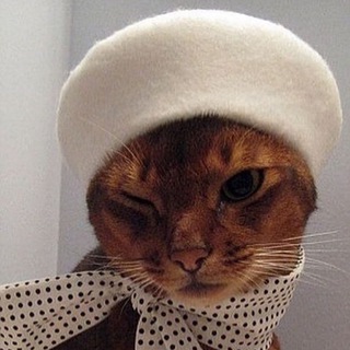 Логотип @cat_french - French Cat / французский язык