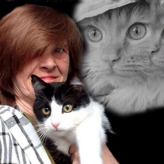 Логотип @cat_happiness - КЕС_ЭЛЬКА_СЧАСТЬЕ