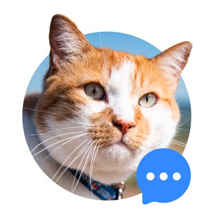 Логотип @cat_the_most_chat - Кот Мостик Chat