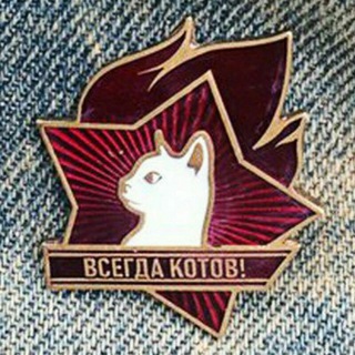 Логотип @cataholics_anonymous - Клуб Анонимных Котоголиков