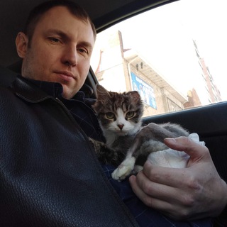 Логотип @catalexfm - ЖИЗНЬ КОТА БЕЗ ЛАП