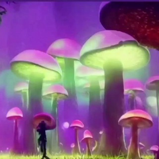 Логотип @catalogocomunidad - CATALOGO - COMUNIDAD