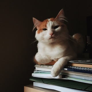 Логотип @catarsi - котарсис