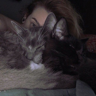 Логотип @catbleah - 🍀кисий блёв🍀