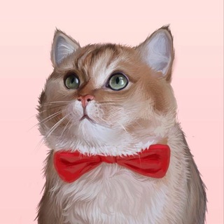 Логотип @catbourbon - Кот Бурбон