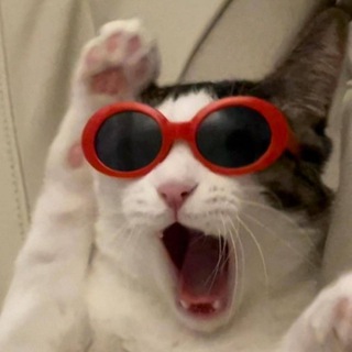 Логотип @catchatslkad - Чат Моих Котов