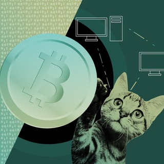 Логотип @catcryptoboxer - Crypto Box Binance | Криптобоксы