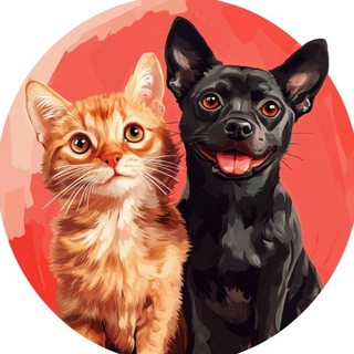 Логотип @catdogslife - Кошечки & Собачки🐱🐶