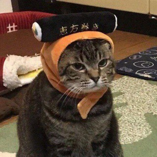 Логотип @catdoza - шерстяной мудак