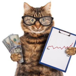 Логотип @catfromwallstreet - Кот с Уолл Стрит