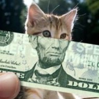 Логотип @catirovka - Котировки