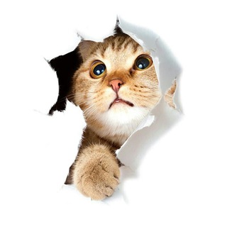 Логотип @catism_one_chat - catism_one_chat