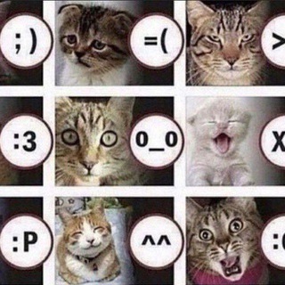 Логотип @catismeowq - столовая четыре лапки