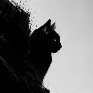 Логотип @catordie - Котики или смерть