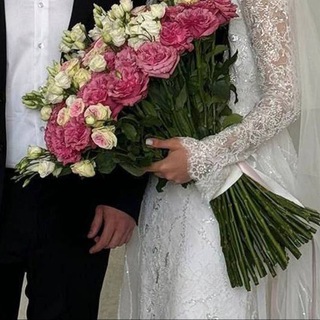 Логотип @catoxla - ᴄᴀᴛᴏхᴧᴀ.