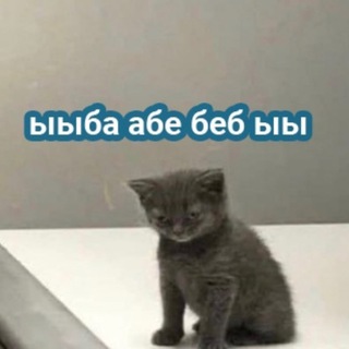 Логотип @catrave - мысли котана