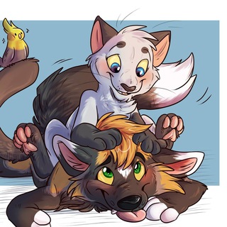 Логотип @cats_dogs_love - Любителям Кошек и Собак