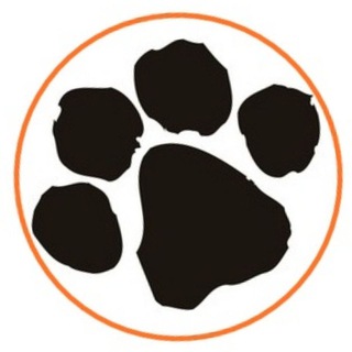 Логотип @cats_tg - ВКоте