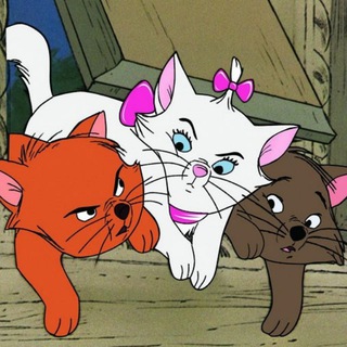 Логотип @catsandcatsandcats - Люди и котики