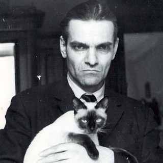 Логотип @catsandman - человек и кошка